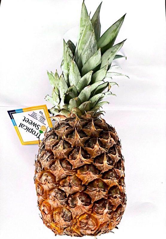 Ananász