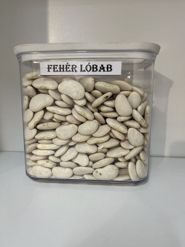 Fehér lóbab