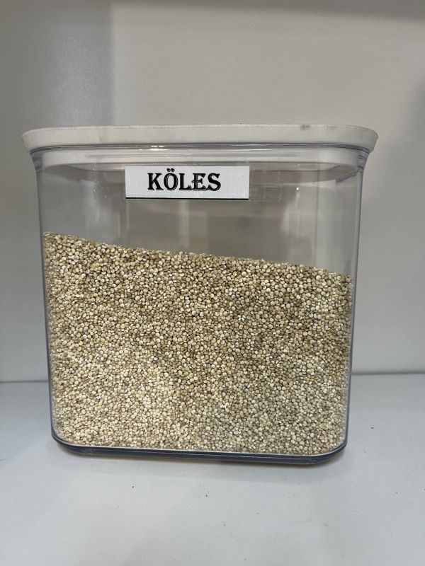 Köles