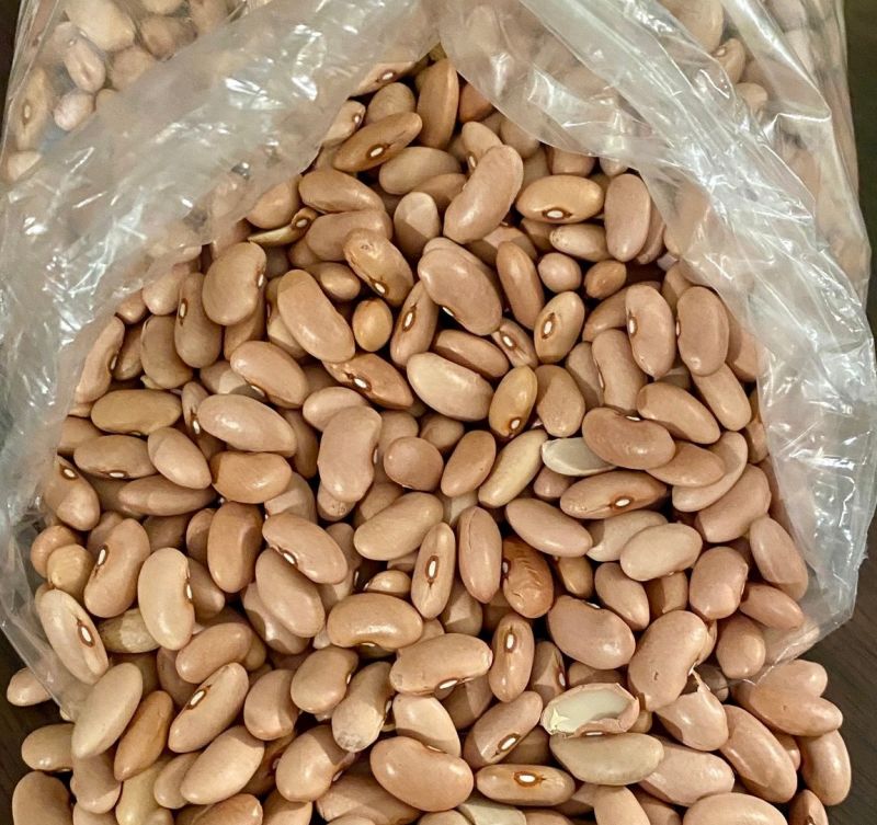 Májbab (Libamájbab)