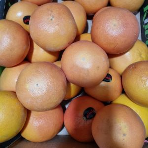 Piros Grapefruit - 1 250 Ft