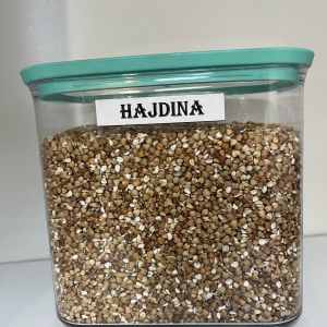 Hajdina - 2 100 Ft