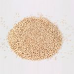 Quinoa