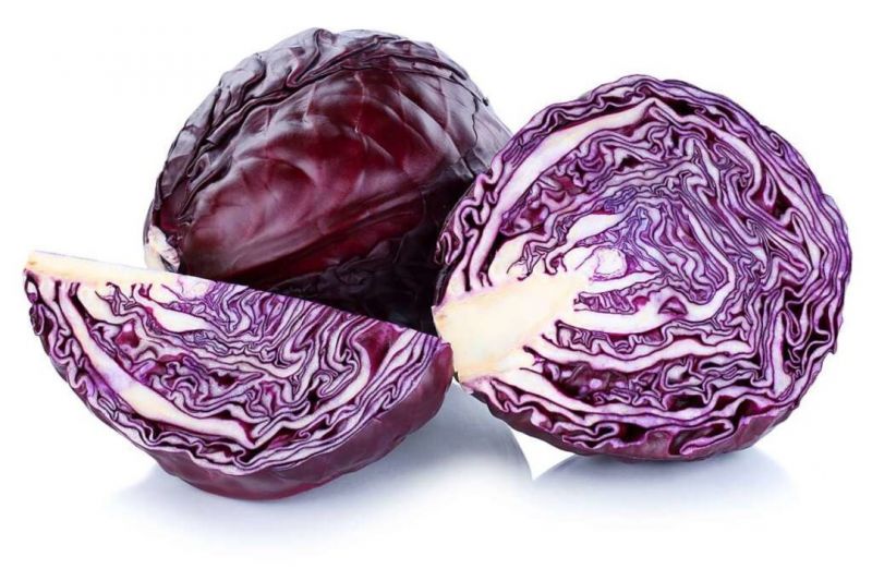 Vöröskáposzta, Lilakáposzta idei