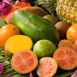 Exotikumok